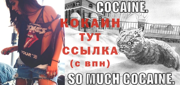 соль курить ск Нязепетровск