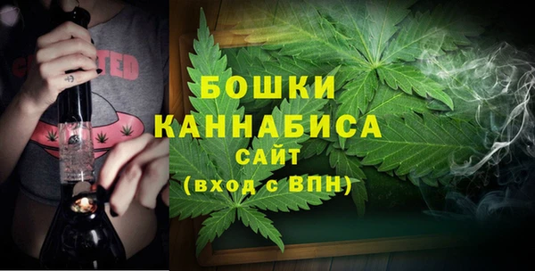 PSILOCYBIN Няндома