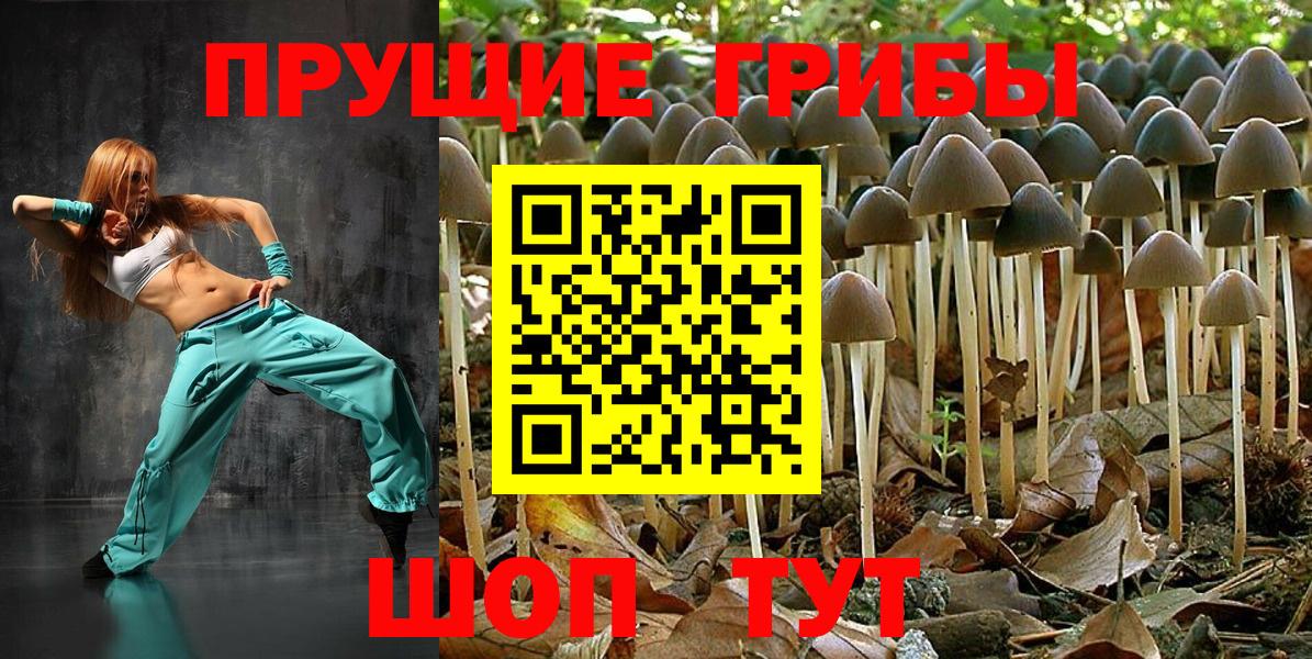 Галлюциногенные грибы MAGIC MUSHROOMS Ступино