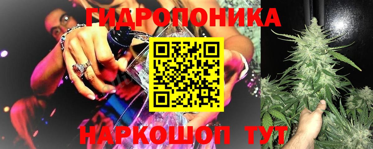Каннабис Amnesia  Бошки Шишки планчик  Конопля семена  Ступино  Вход с VPN 