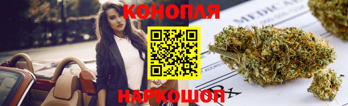 Конопля сатива Ступино